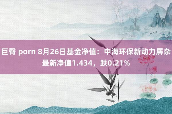 巨臀 porn 8月26日基金净值：中海环保新动力羼杂最新净值1.434，跌0.21%