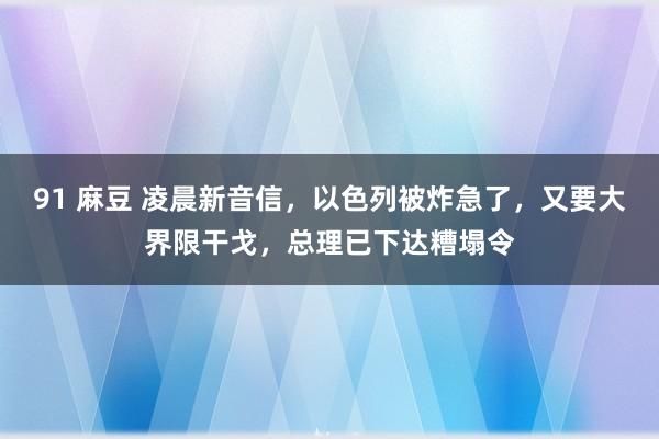 91 麻豆 凌晨新音信，以色列被炸急了，又要大界限干戈，总理已下达糟塌令