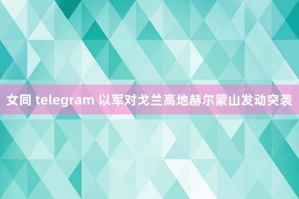 女同 telegram 以军对戈兰高地赫尔蒙山发动突袭