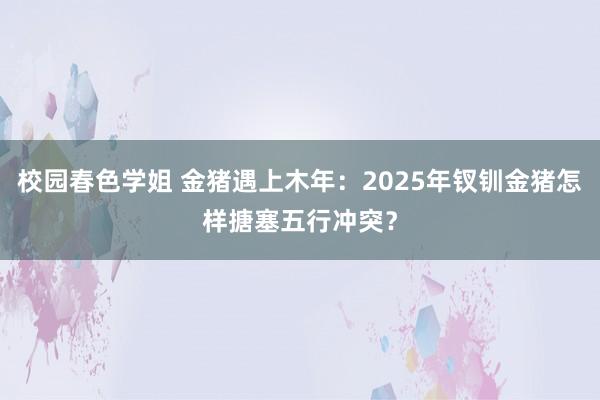 校园春色学姐 金猪遇上木年：2025年钗钏金猪怎样搪塞五行冲突？