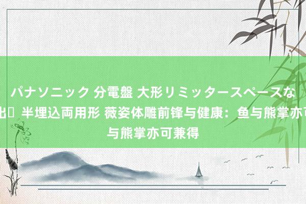 パナソニック 分電盤 大形リミッタースペースなし 露出・半埋込両用形 薇姿体雕前锋与健康：鱼与熊掌亦可兼得