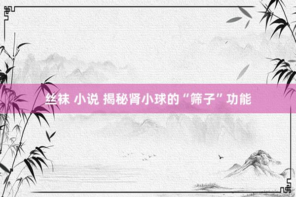 丝袜 小说 揭秘肾小球的“筛子”功能