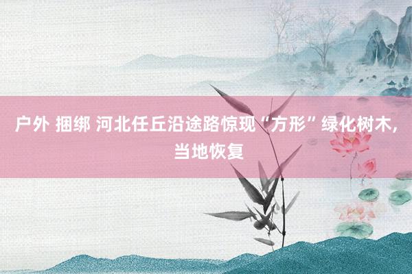 户外 捆绑 河北任丘沿途路惊现“方形”绿化树木， 当地恢复