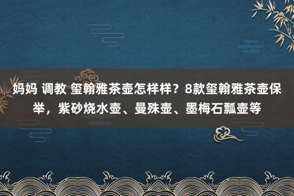 妈妈 调教 玺翰雅茶壶怎样样？8款玺翰雅茶壶保举，紫砂烧水壶、曼殊壶、墨梅石瓢壶等