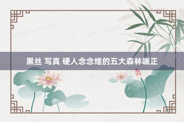 黑丝 写真 硬人念念维的五大森林端正