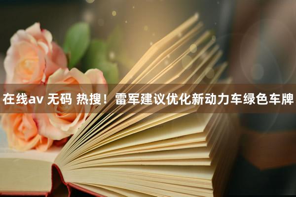 在线av 无码 热搜！雷军建议优化新动力车绿色车牌