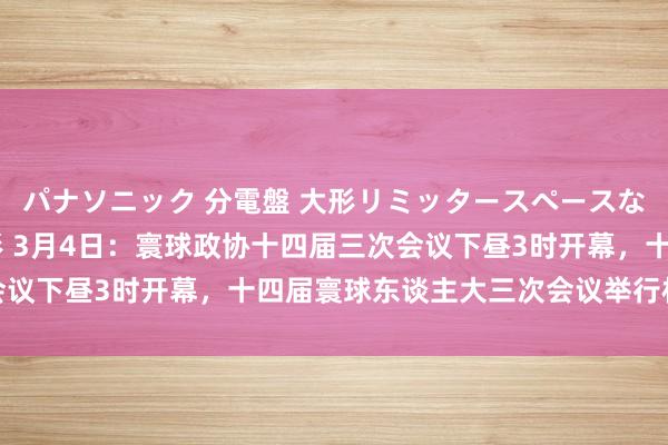 パナソニック 分電盤 大形リミッタースペースなし 露出・半埋込両用形 3月4日：寰球政协十四届三次会议下昼3时开幕，十四届寰球东谈主大三次会议举行权术会议