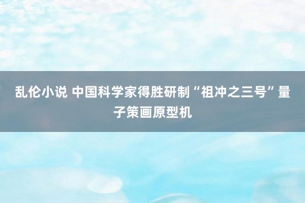 乱伦小说 中国科学家得胜研制“祖冲之三号”量子策画原型机