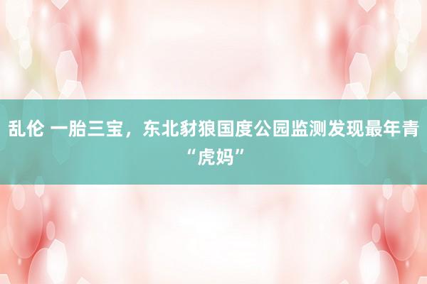 乱伦 一胎三宝，东北豺狼国度公园监测发现最年青“虎妈”
