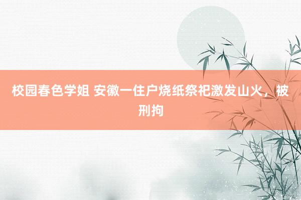 校园春色学姐 安徽一住户烧纸祭祀激发山火，被刑拘